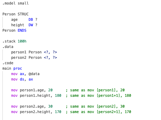 TASM struct definition and usage